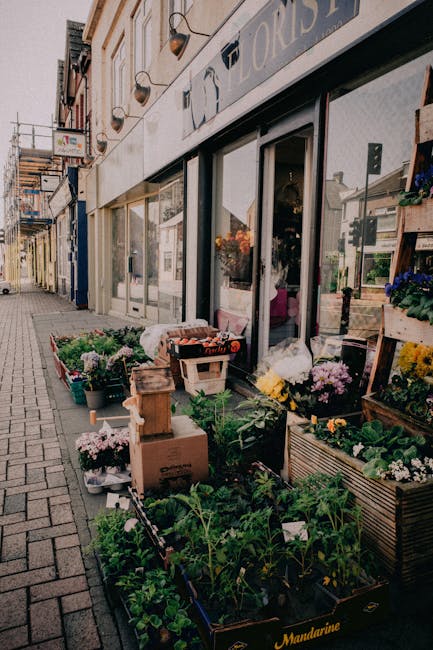A storefront of a flower shop on Purley High Street featuring an array of fresh flowers and floral arrangements displayed outdoors. The display includes potted plants with lush green foliage, chrysant